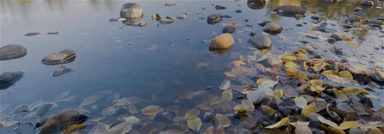Lake Minnetonka, from the practice's own page about the Wayzata community.